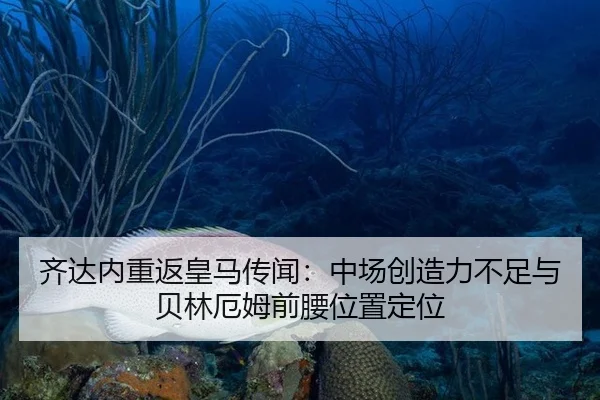 qi-da-nei-chong-fan-huang-ma-chuan-wen-zhong-chang-chuang-zao-li-bu-zu-yu-bei-lin-e-mu-qian-yao-wei-zhi-ding-wei-3-292.jpg