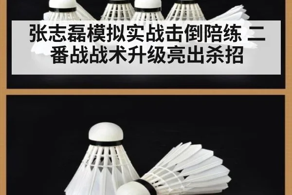 张志磊模拟实战击倒陪练 二番战战术升级亮出杀招