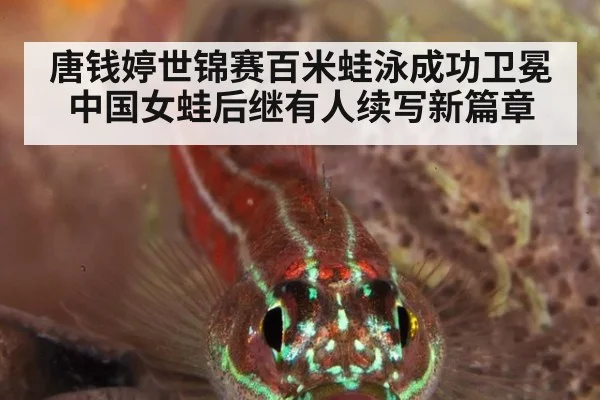 唐钱婷世锦赛百米蛙泳成功卫冕中国女蛙后继有人续写新篇章